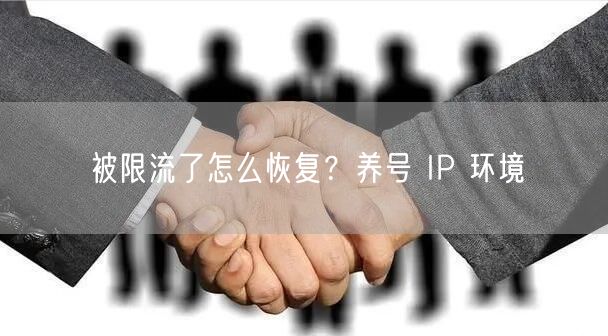 被限流了怎么恢复？养号 IP 环境