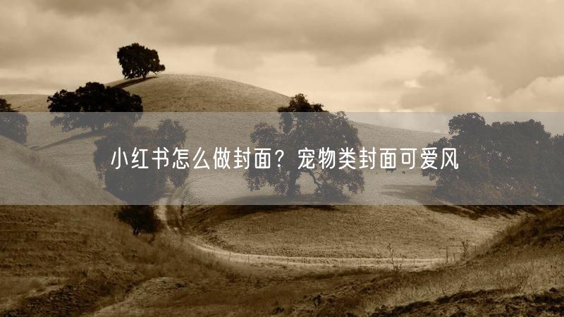 小红书怎么做封面？宠物类封面可爱风