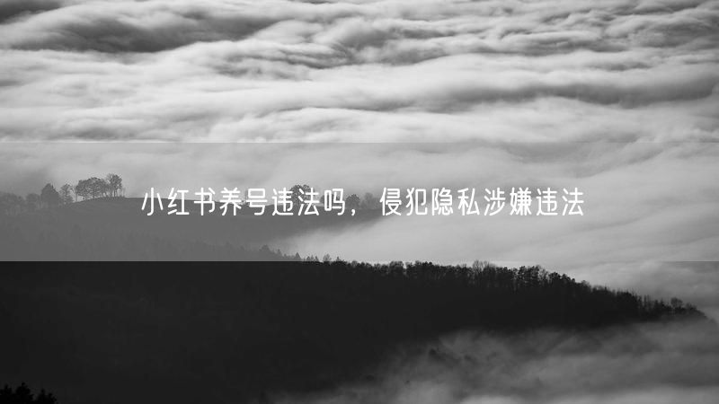 小红书养号违法吗，侵犯隐私涉嫌违法