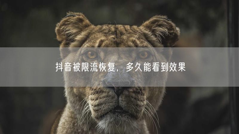 抖音被限流恢复，多久能看到效果