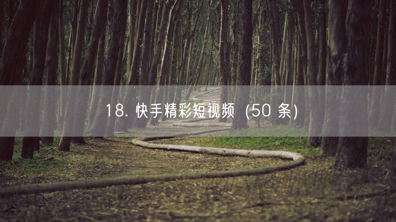18. 快手精彩短视频（50 条）