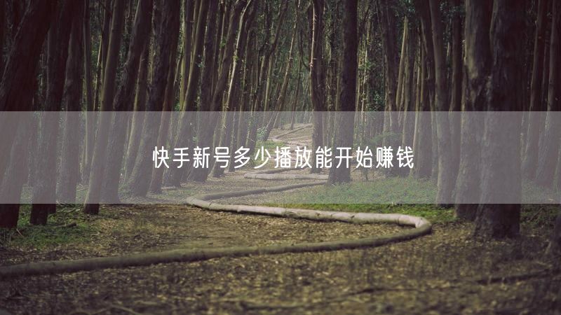 快手新号多少播放能开始赚钱