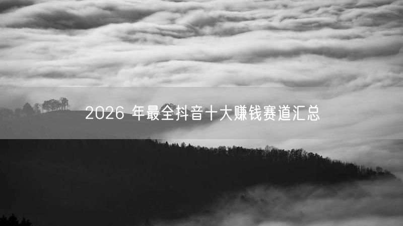 2026 年最全抖音十大赚钱赛道汇总