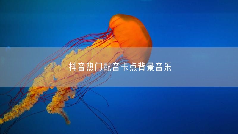 抖音热门配音卡点背景音乐