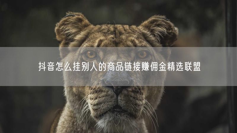抖音怎么挂别人的商品链接赚佣金精选联盟