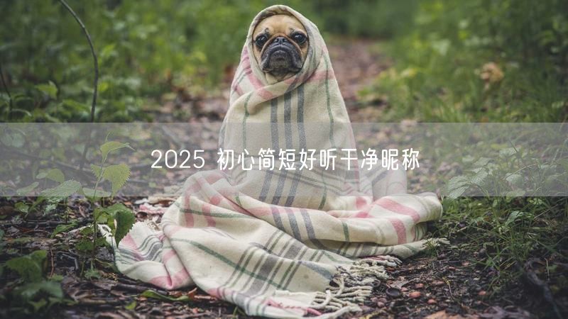 2025 初心简短好听干净昵称
