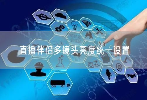 直播伴侣多镜头亮度统一设置