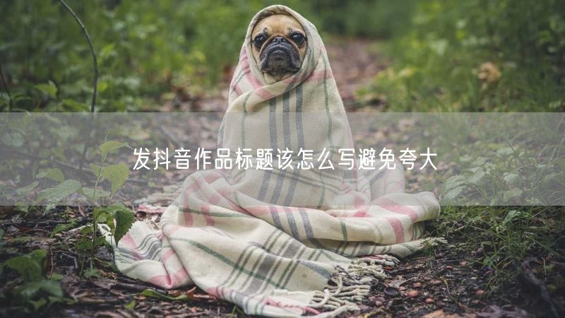 发抖音作品标题该怎么写避免夸大