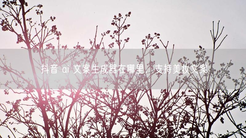 抖音 ai 文案生成器在哪里，支持美妆文案