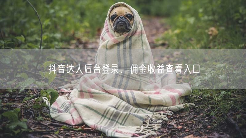 抖音达人后台登录，佣金收益查看入口