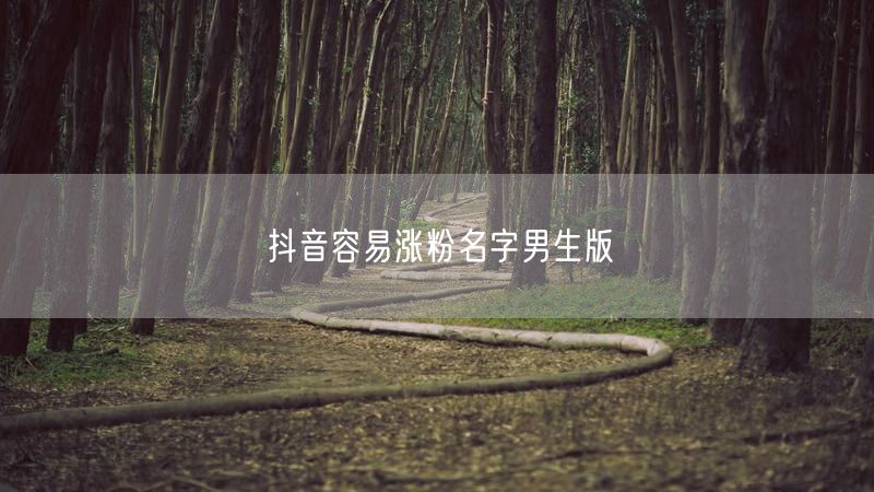 抖音容易涨粉名字男生版