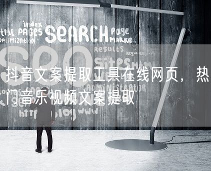抖音文案提取工具在线网页，热门音乐视频文案提取
