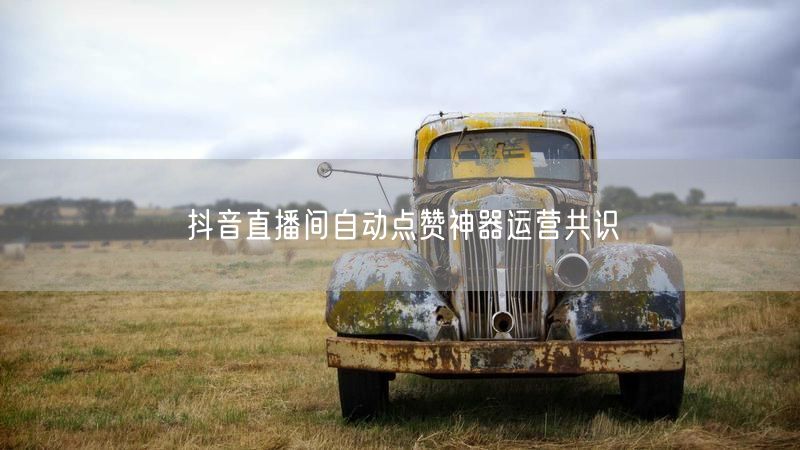 抖音直播间自动点赞神器运营共识