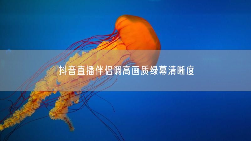 抖音直播伴侣调高画质绿幕清晰度