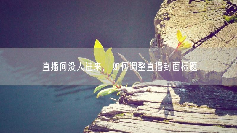 直播间没人进来，如何调整直播封面标题