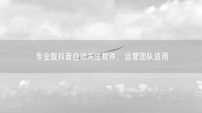 专业版抖音自动关注软件，运营团队适用