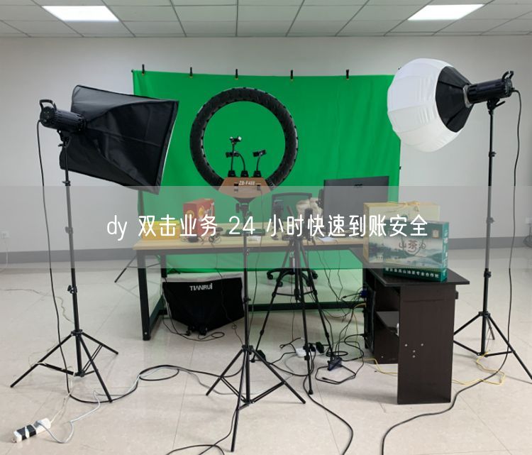 dy 双击业务 24 小时快速到账安全