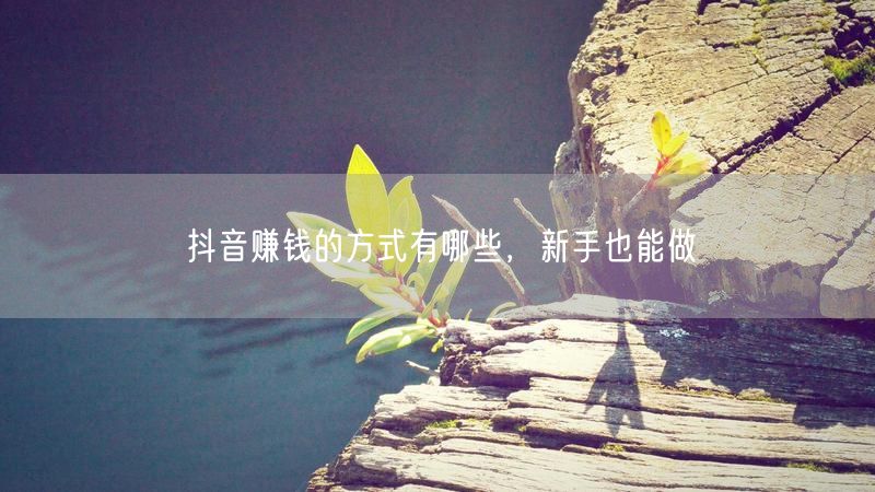 抖音赚钱的方式有哪些，新手也能做