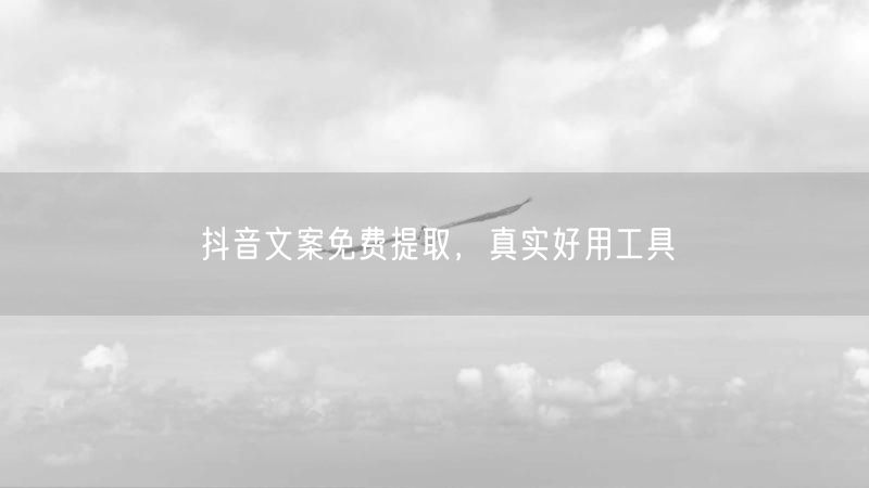 抖音文案免费提取，真实好用工具