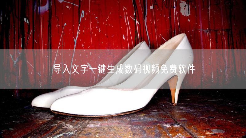 导入文字一键生成数码视频免费软件