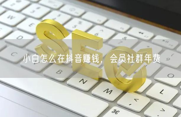 小白怎么在抖音赚钱，会员社群年费