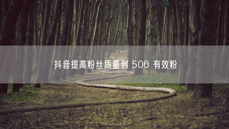 抖音提高粉丝质量到 500 有效粉