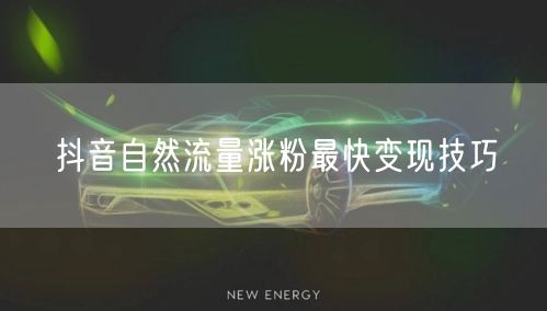抖音自然流量涨粉最快变现技巧