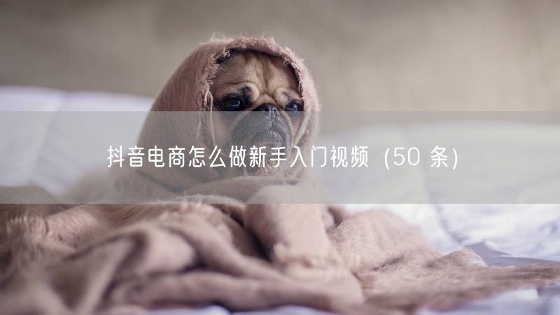 抖音电商怎么做新手入门视频（50 条）