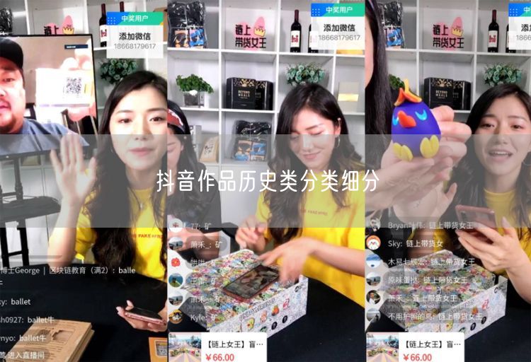 抖音作品历史类分类细分