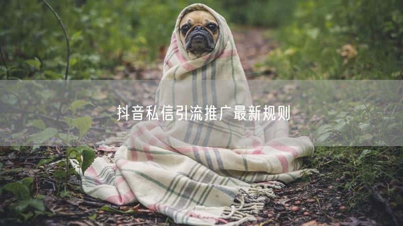 抖音私信引流推广最新规则