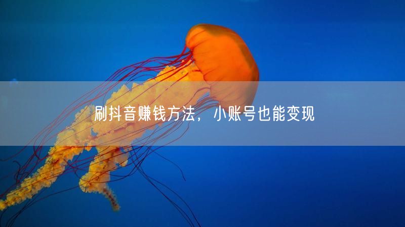 刷抖音赚钱方法，小账号也能变现