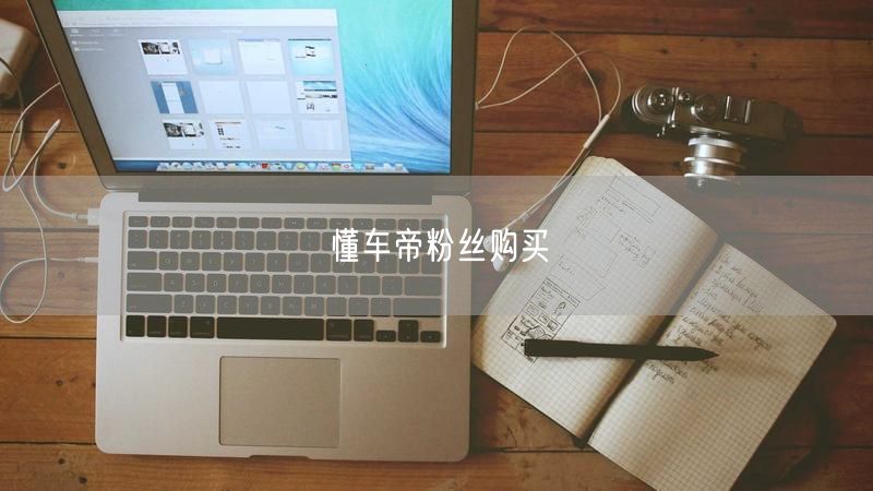 懂车帝粉丝购买