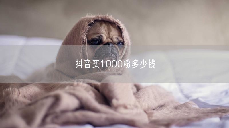 抖音买1000粉多少钱