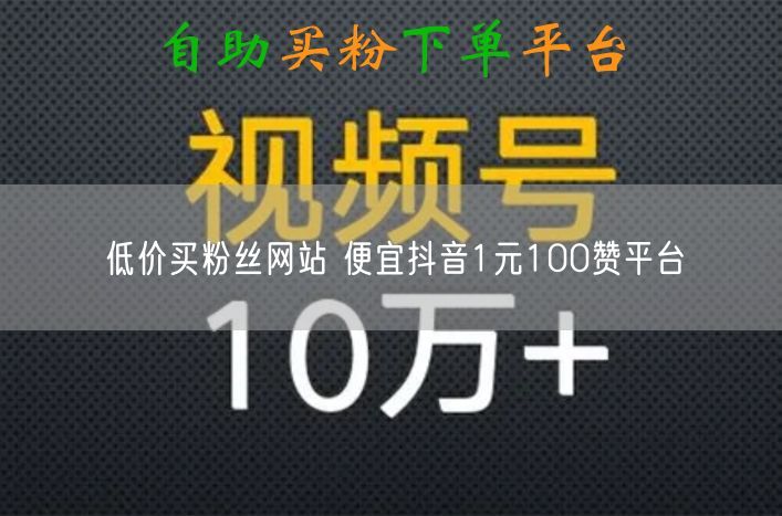 低价买粉丝网站 便宜抖音1元100赞平台