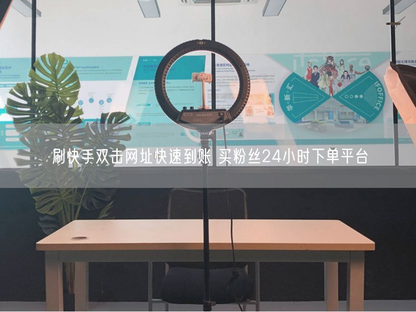 刷快手双击网址快速到账 买粉丝24小时下单平台
