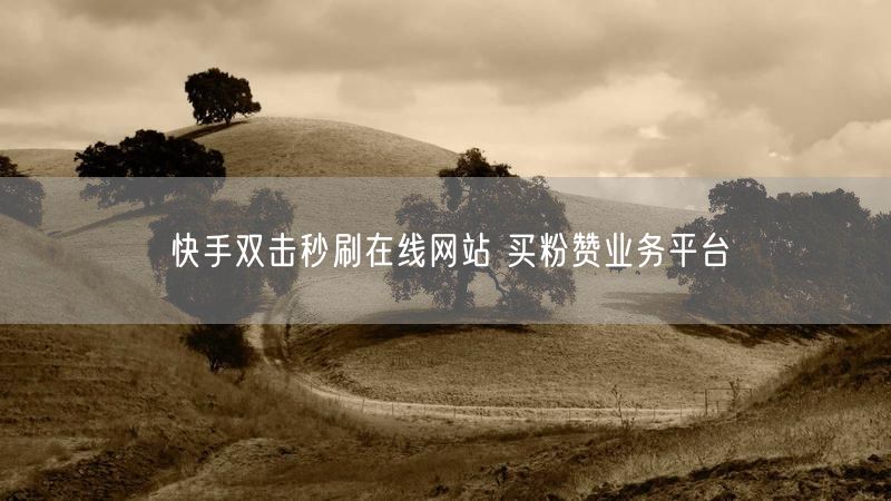 快手双击秒刷在线网站 买粉赞业务平台