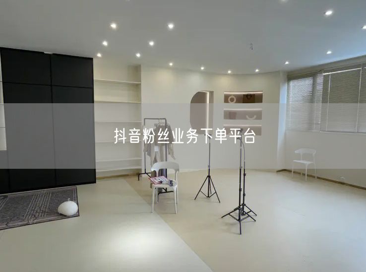 抖音粉丝业务下单平台
