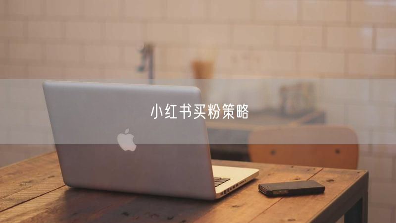 小红书买粉策略