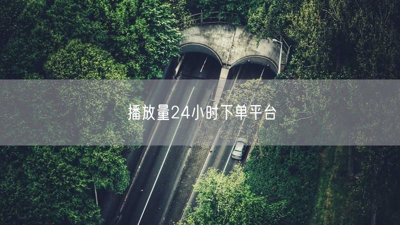 播放量24小时下单平台